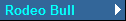 Rodeo Bull
