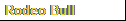 Rodeo Bull