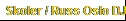 Skoler / Russ Oslo DJ