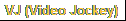 VJ (Video Jockey)