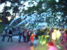 DSCF3554